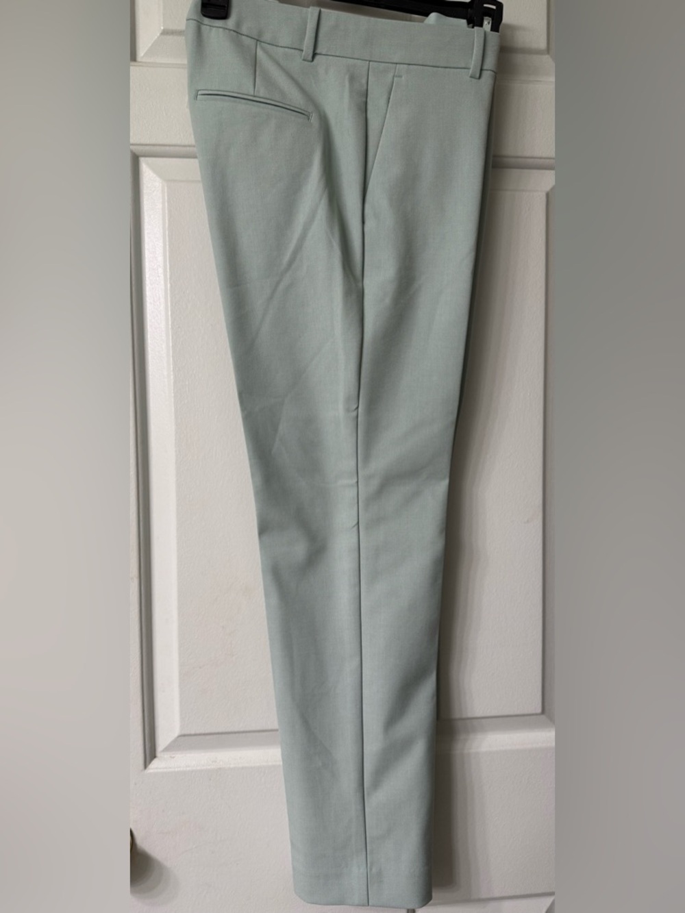 Ann Taylor Pale Sage Green Ankle Pants Size 2 NWT Tailored Career Chic - Picture 5 of 6